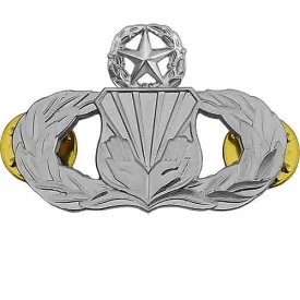 Air Force Badge: Chaplain Assistant: Master - regulation size
