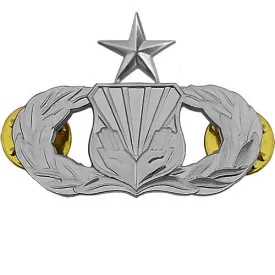 Air Force Badge: Chaplain Assistant: Senior - regulation size