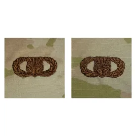 Air Force Embroidered Badge: Chaplain Assistant - Basic OCP