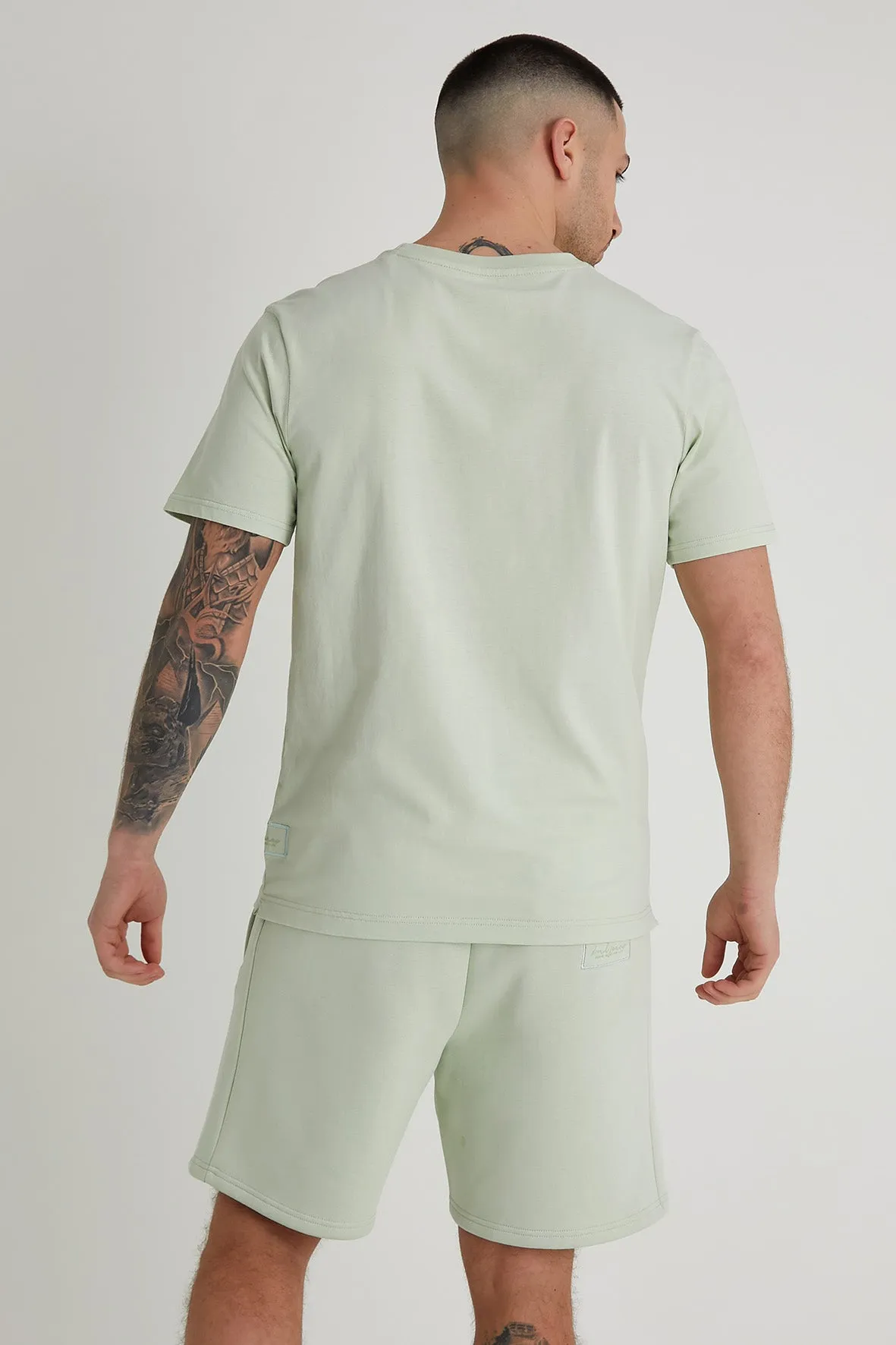 Aston crew neck t-shirt in Artichoke