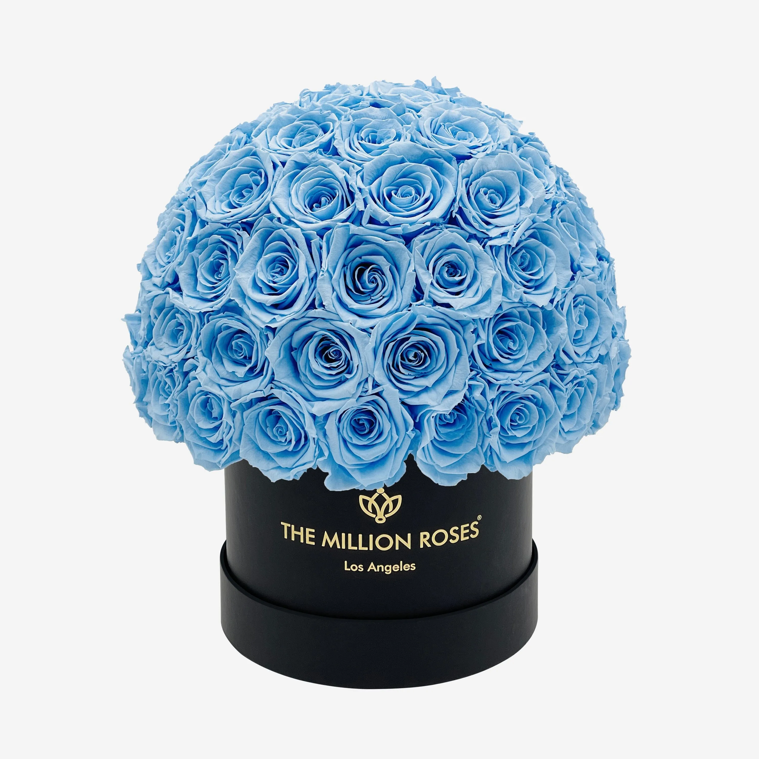 Classic Black Superdome Box | Light Blue Roses