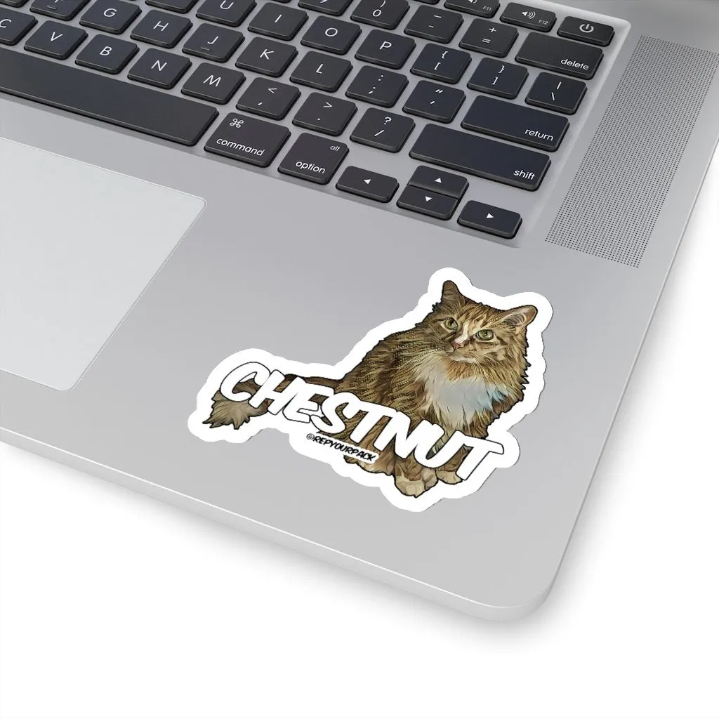 Custom Stickers
