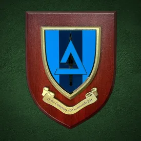 Delta Company 40 Commando Plaque