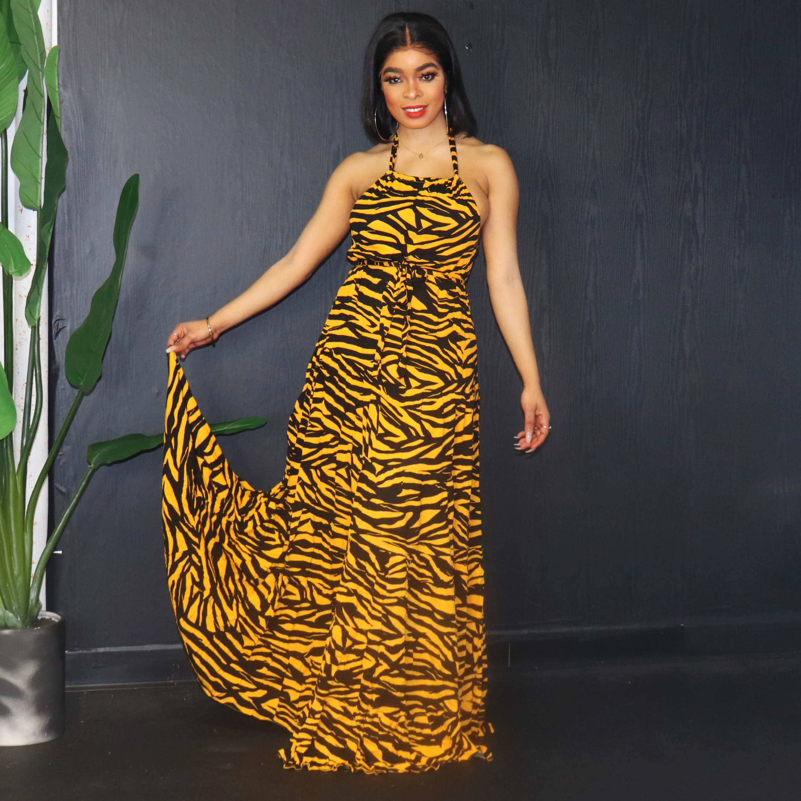Hear Me Roar Maxi Dress (Restocked)