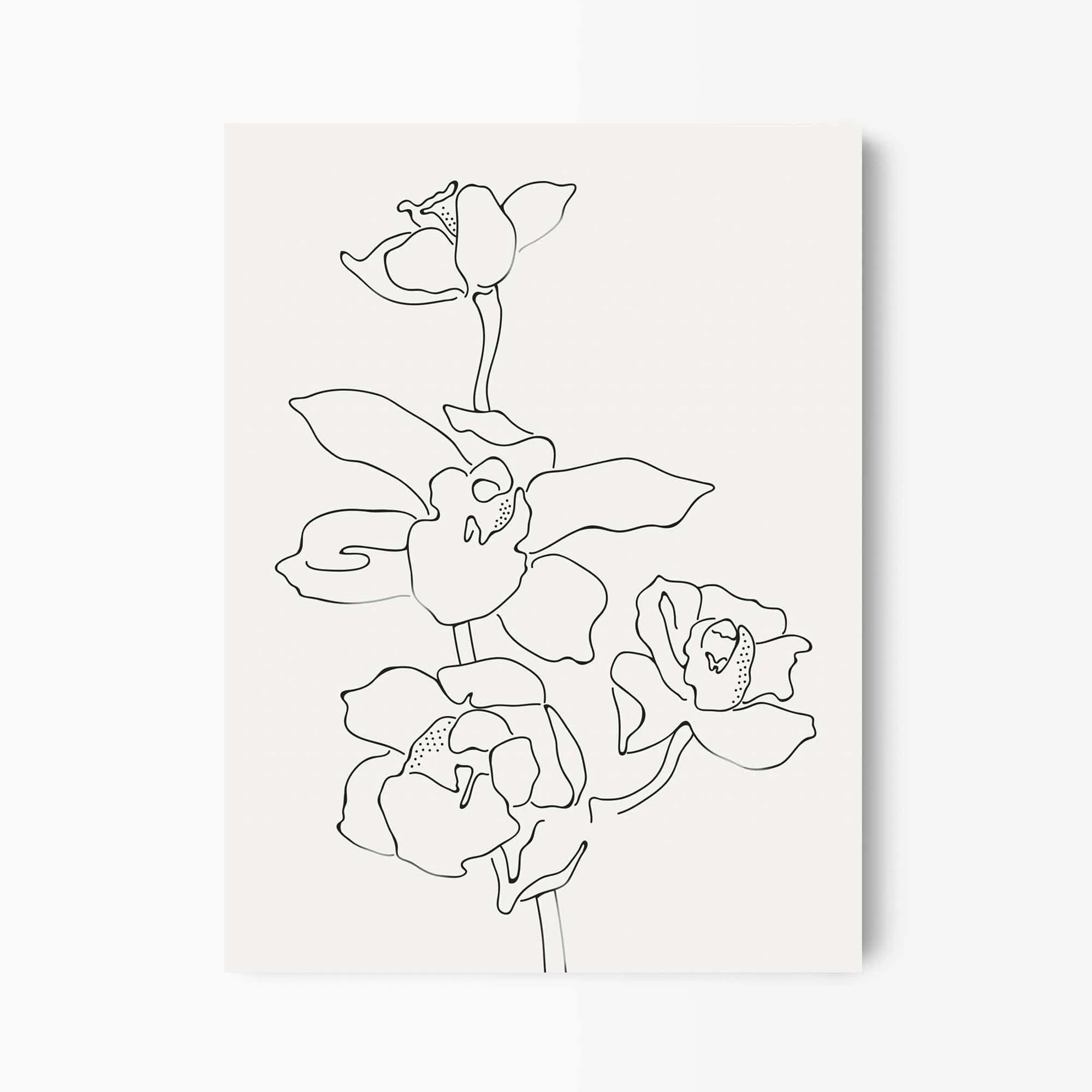 Orchid Flowers 2 Line Art Print