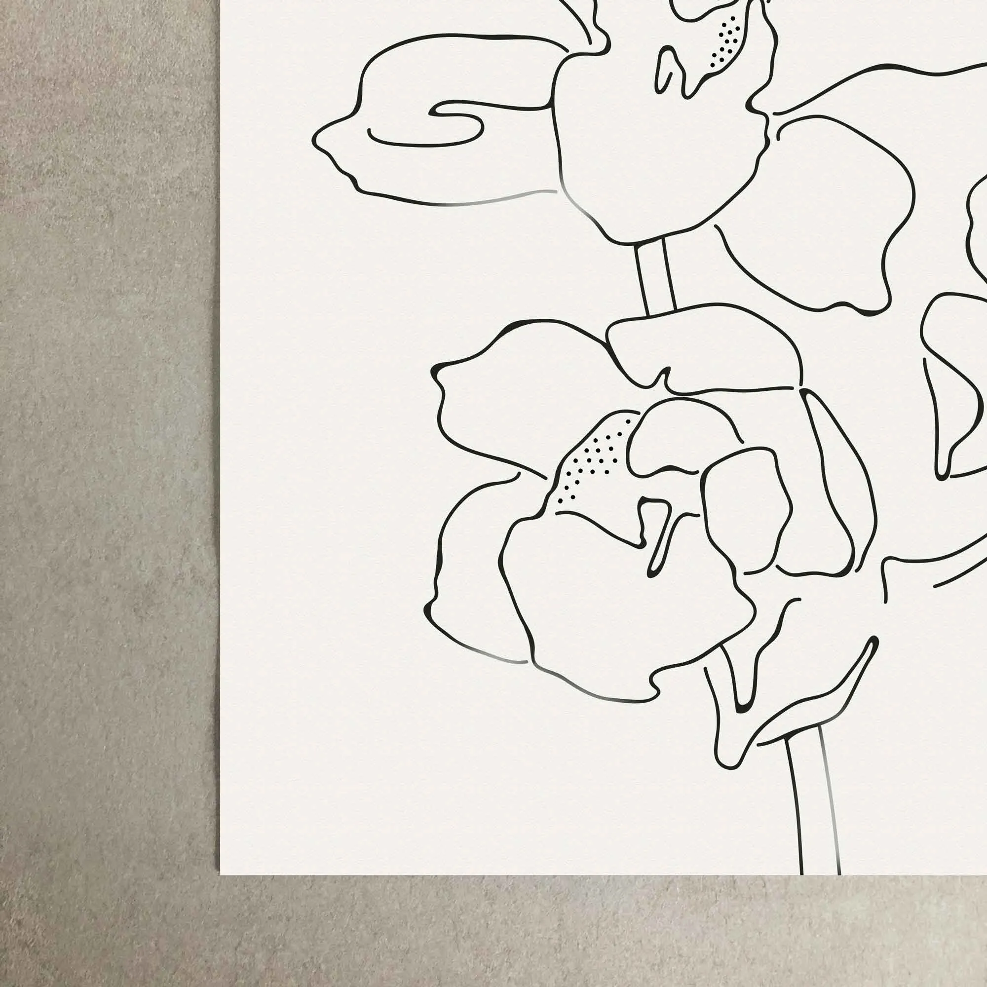Orchid Flowers 2 Line Art Print