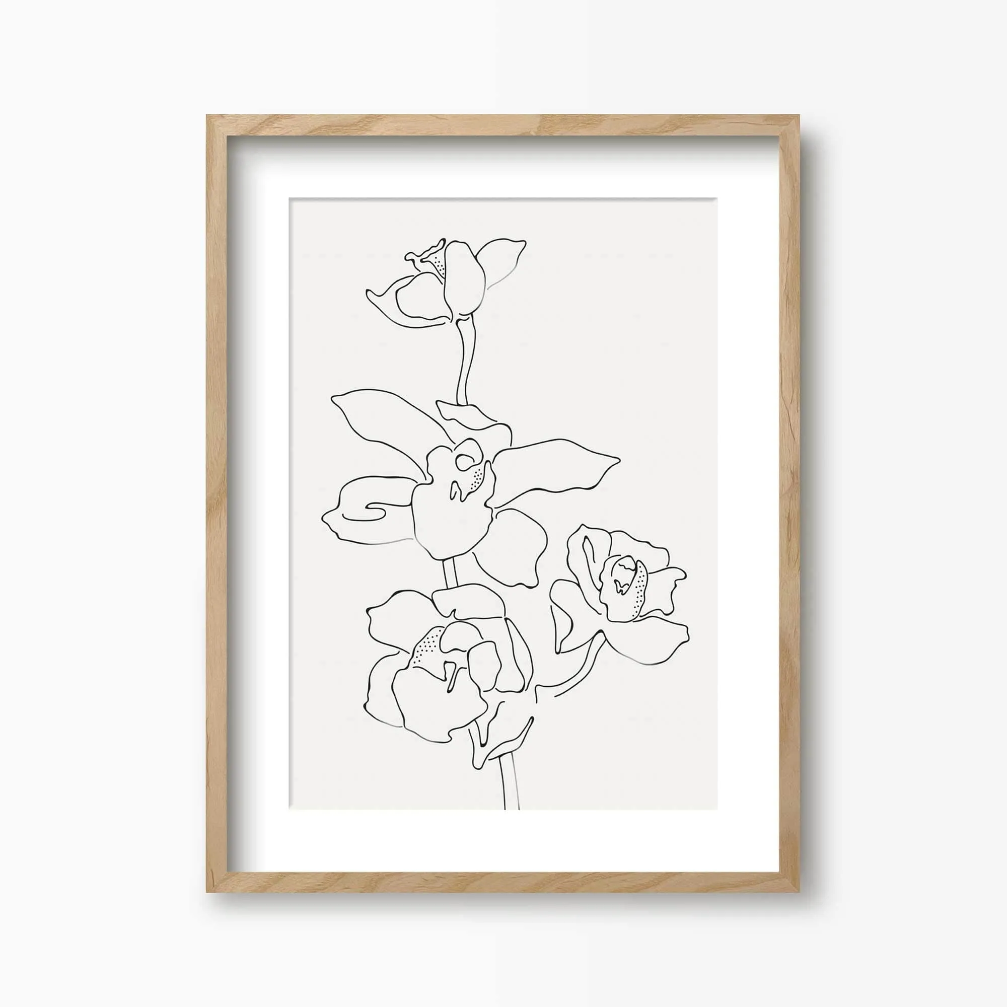 Orchid Flowers 2 Line Art Print