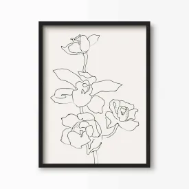 Orchid Flowers 2 Line Art Print