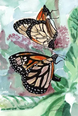 "Laying an Egg" Print