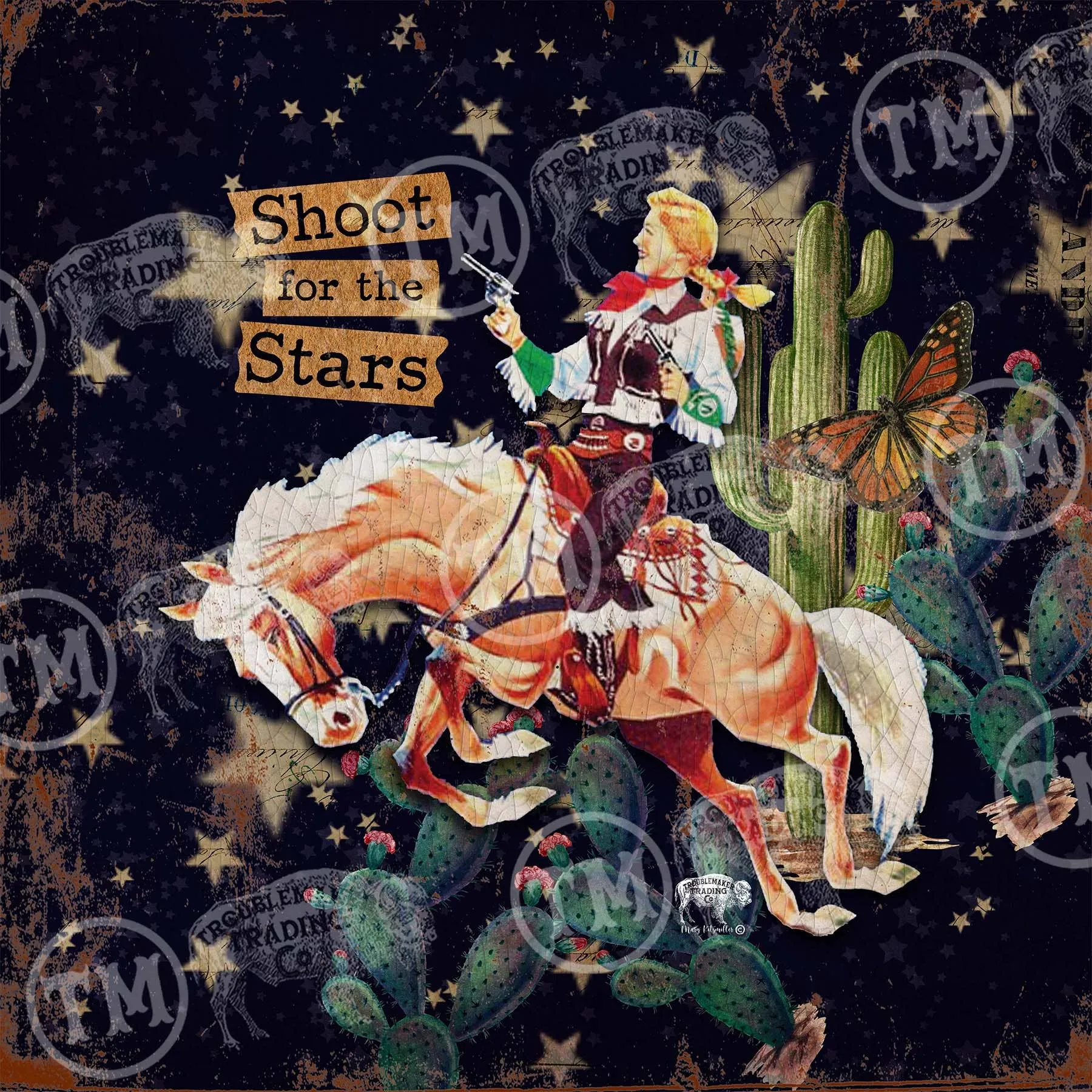"Shoot for the Stars" -Square framed Artwork: Large - 24"