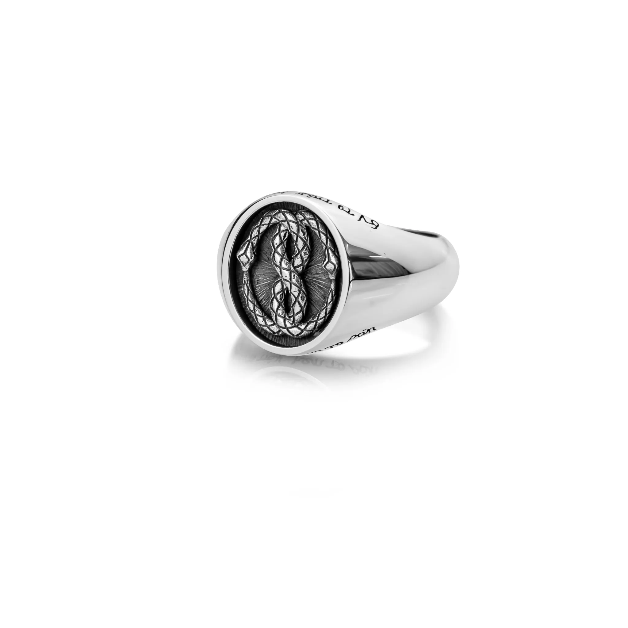 The Silver Ouroboros Ring