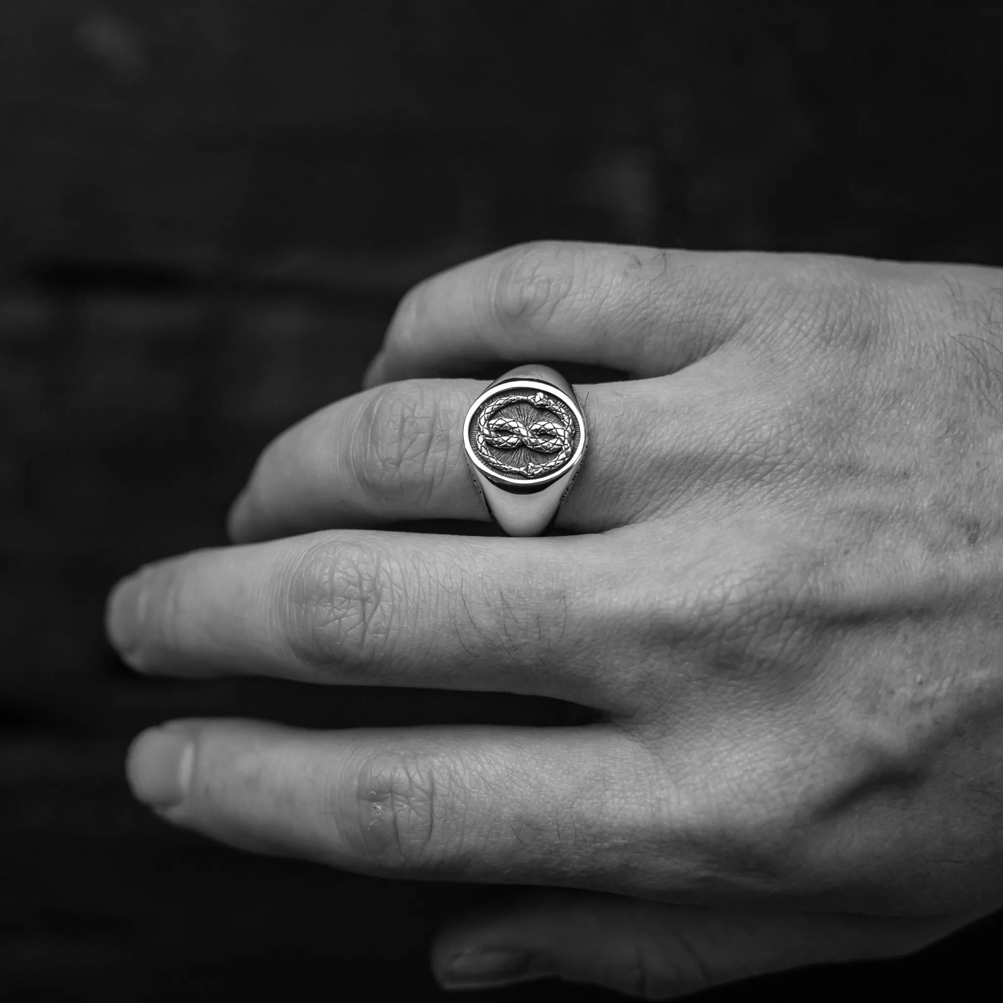 The Silver Ouroboros Ring
