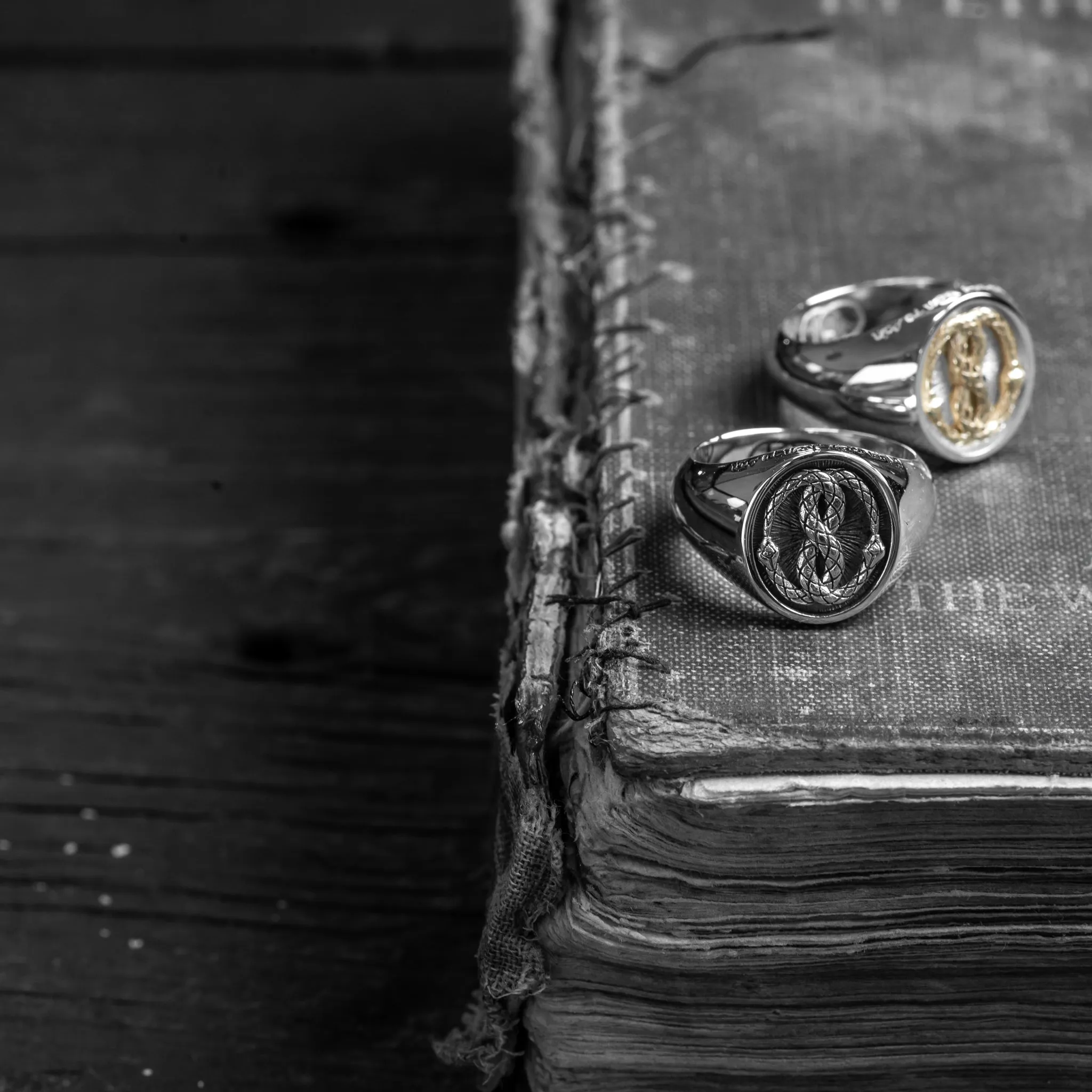 The Silver Ouroboros Ring